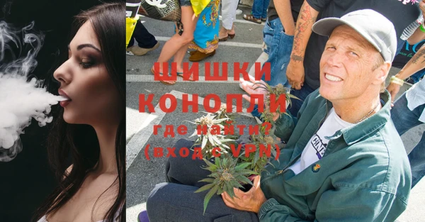 шишки Богородск