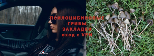 кокаин VHQ Белокуриха