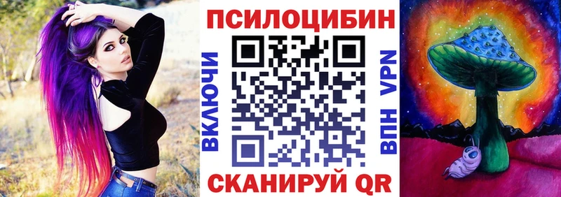 Галлюциногенные грибы Psilocybe  купить  цена  Новосибирск 